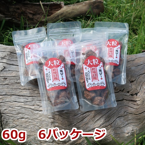 タッチパネル 梅ぴー500g×4袋 おまとめ買い | yigitaluminyumprofil.com